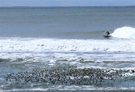 Fun waves today in Northern California : r/surfing