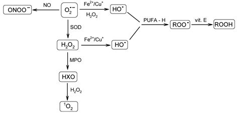 Nutrients | Free Full-Text | Potential Role of Carotenoids as ...