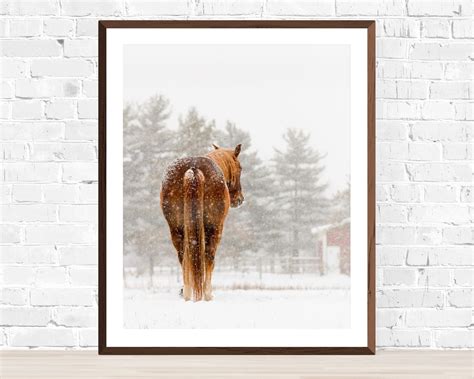 Horse Photography Winter Horse Photography Horse in the - Etsy