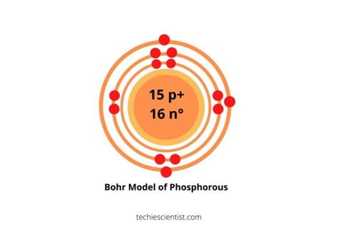 Phosphorus Bohr Model — Diagram, Steps To Draw - Techiescientist