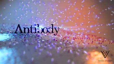 Antibody Animation - YouTube