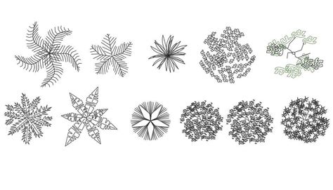 Free Download CAD Blocks Of Tree Plant - Cadbull