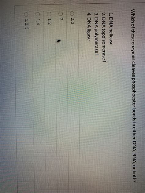 Solved Which of these enzymes cleaves phosphoester bonds in | Chegg.com