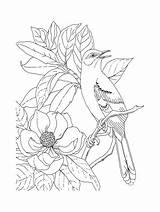 Mockingbird coloring Page sketch template