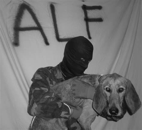 44 best Animal Liberation Front images on Pinterest | Animal rescue ...