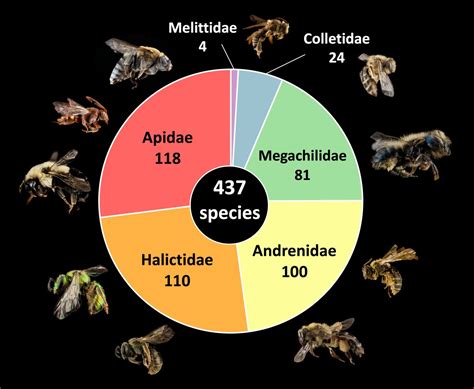 Checklist of the Bees of Pennsylvania – López-Uribe Lab