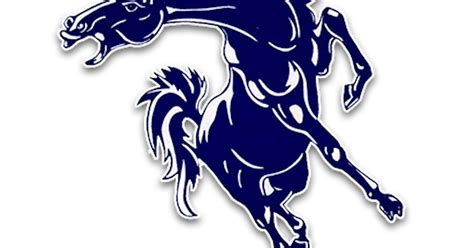 North Mesquite Stallions | SportsDayHS.com