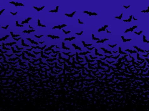 Halloween Bat Wallpapers - Top Free Halloween Bat Backgrounds ...