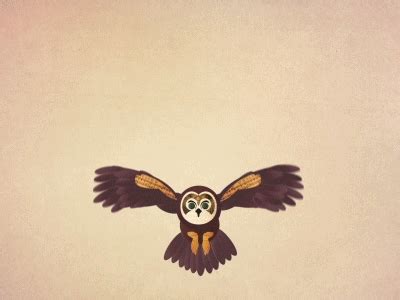 Owl In Flight by Bradley James Lockhart on Dribbble