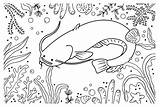 30  Catfish Coloring Pages Free Printable PDF JPG PNG & Online sketch template