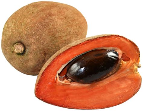 Zapote (sapote) – Frescura Tropical