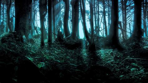 Creepy Forest Virtual Backgrounds - VirtualOffice.ninja