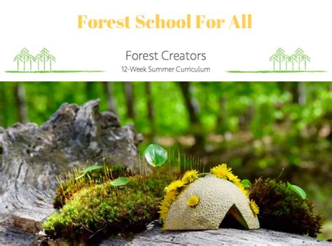 Curriculum - Forest School For All