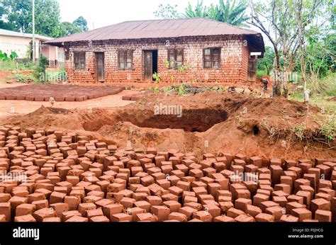 Mud bricks drying to build houses in Cameroon Stock Photo - Alamy