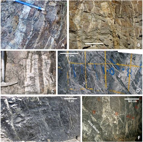 Examples of extensional vein sets in intermediate (A, B, C, F) and low... | Download Scientific ...