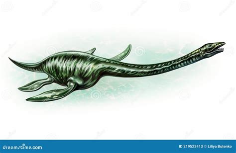 Plesiosaur Plesiosauria, Realistic Drawing Stock Illustration ...