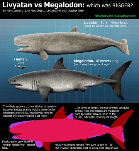 Livyatan Melvillei vs Megalodon by Harry-the-Fox on DeviantArt