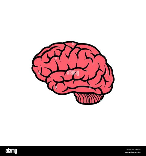 Abstract human brain logo design template Stock Vector Image & Art - Alamy