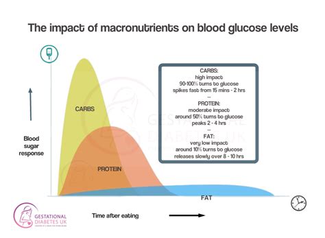 Blood Sugar Levels After Overnight Fasting at James Young blog