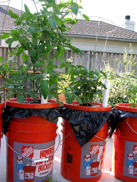 5 Gallon Self-Watering Tomato Container – DIY projects for everyone!