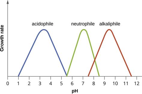 7.3 The Effects of pH on Microbial Growth – Allied Health Microbiology