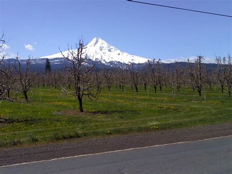 Parkdale Oregon and Mt Hood | Natural landmarks, Oregon, Landmarks