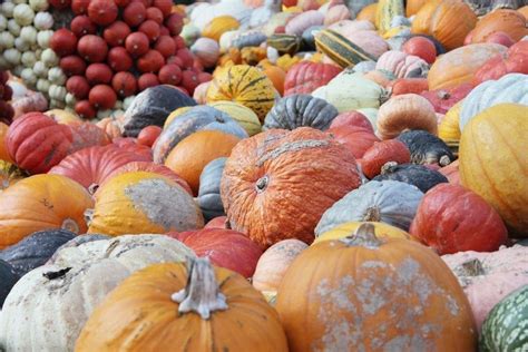 Do they Celebrate Halloween in Germany? What is German Halloween?