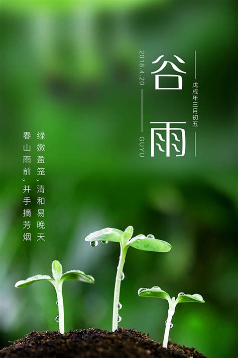 节气谷雨海报_素材中国sccnn.com