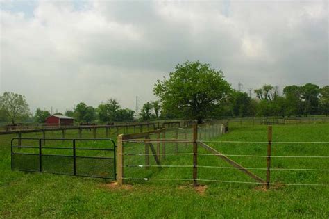 Ryders Lane Farm | Equine Science Center