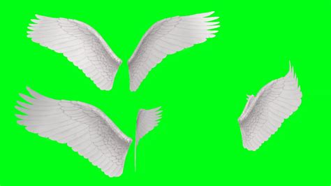 ANGEL Wings in GREEN SCREEN Animated 1080p - YouTube