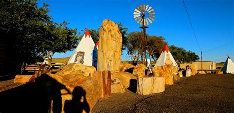 World's Largest Petrified Tree: world record in Holbrook, Arizona