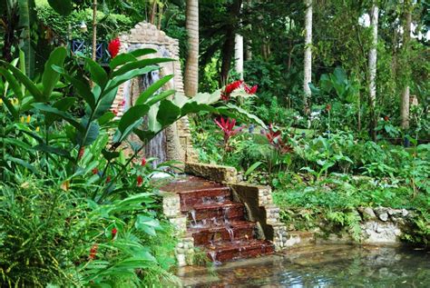 Jamaica s Gardens stock image. Image of tourism, water - 22524587