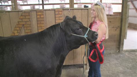 Summit County Fair officials bring back full scale event without a ...