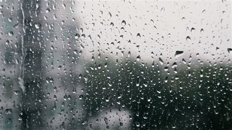 Rain Drops On A Window Stock Video Footage for Free Download