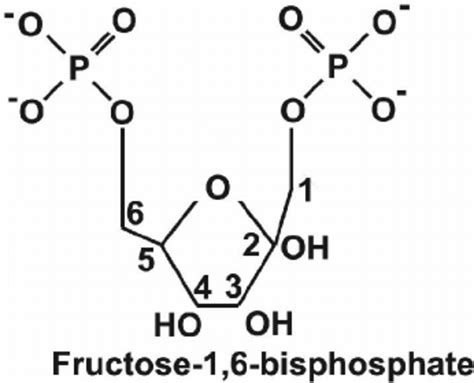 Schematic diagram of the chemical structure of... | Download Scientific Diagram