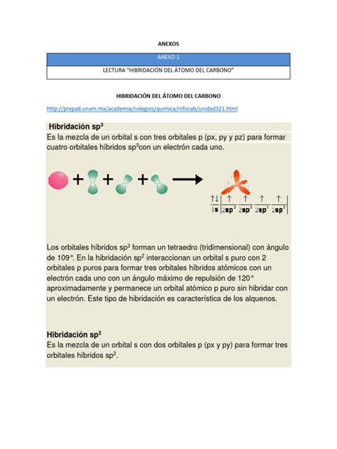 Hibridación Del Átomo de Carbono | PDF