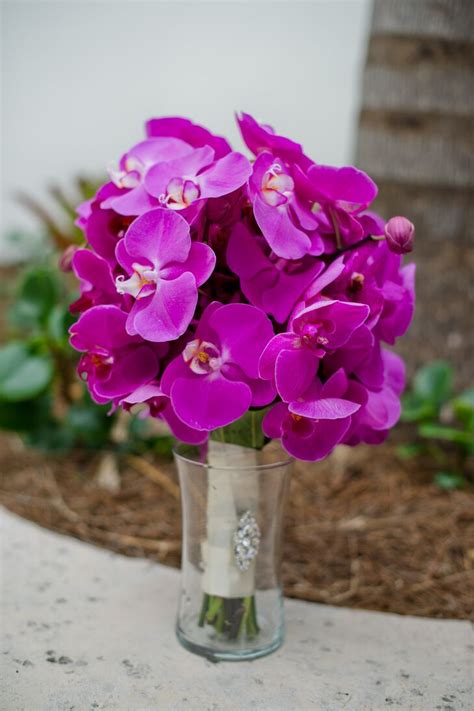 A Traditional Garden Wedding at the Miami Beach Botanical Gardens in Miami Beach, Florida