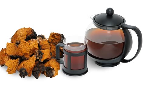 Buy Chaga Mushroom Tea: Benefits, How to Make, Side Effects | Herbal Teas Online