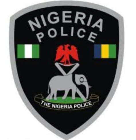 The Nigeria Police Force - Politics - Nigeria