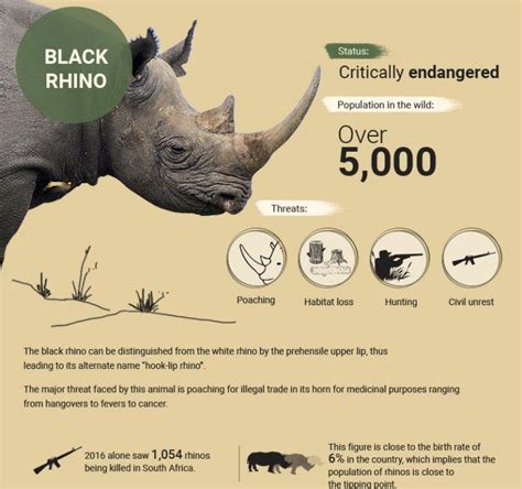 In pictures: The ten most endangered animals in Africa [infographic] | Most endangered animals ...