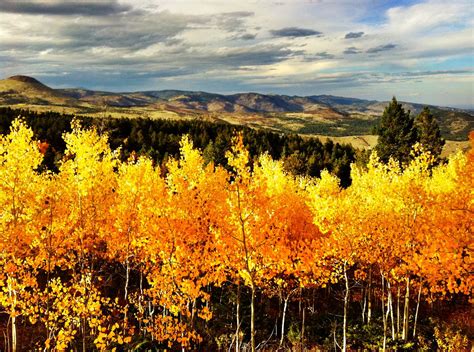 The Fall Colors of Colorado and a Community Idea | Andrew Hyde