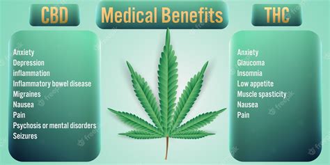 Premium Vector | Thc cannabis medical benefits