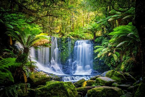 Horseshoe Falls is one of the must-see waterfalls in Tasmania 💦 — at ...