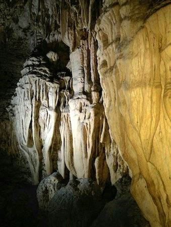 Limestone Caves Baratang (How To Plan & Visit) - Experience Andamans