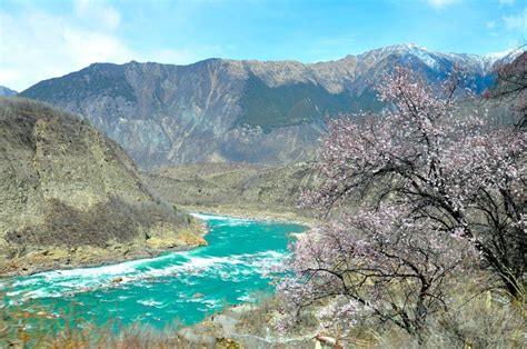 tibet-yarlung-tsangpo-canyon - Tibetan Journal