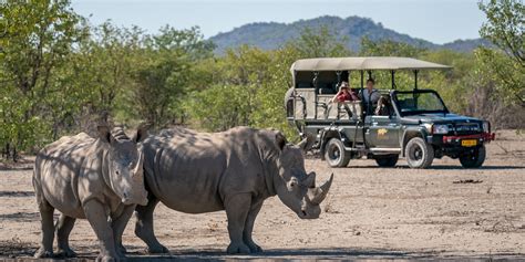 Namibia Highlights Guided Drive (11n) – Classic | Yellow Zebra Safaris