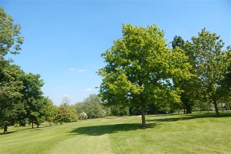 Hole12 - ST. NEOTS GOLF CLUB