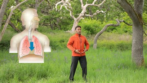 Qigong Breathing Exercise for Lowering Stress, Relaxation, and Energy - Qigong for Vitality