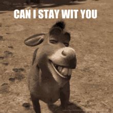 Donkey I M All Alone GIFs | Tenor