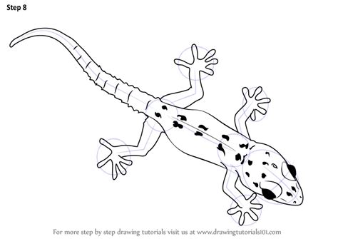 Learn How to Draw a Gecko (Lizards) Step by Step : Drawing Tutorials